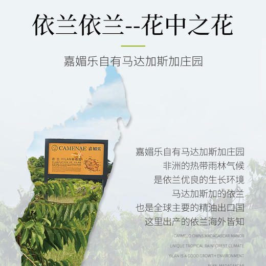 【双12大促】嘉媚乐依兰精油  提升情调 夫妻护理  润养头皮 按摩提拉  单方精油 商品图2