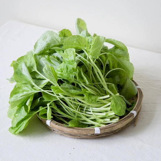 有机青米苋500g 商品图2