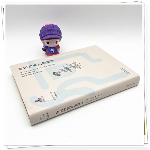 何氏四家医案校评 清·何古心 著 中国中医药出版社 何氏二十八世医著新编 临床 书籍 商品图3