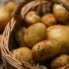 生态河南土豆 | 合作生产*Eco- tomato | Coprodution