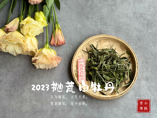 【2023春茶来了】七里香，夜丁香，玉兰花香，2023抛荒白牡丹，抛荒放养的竹里花香 商品图0