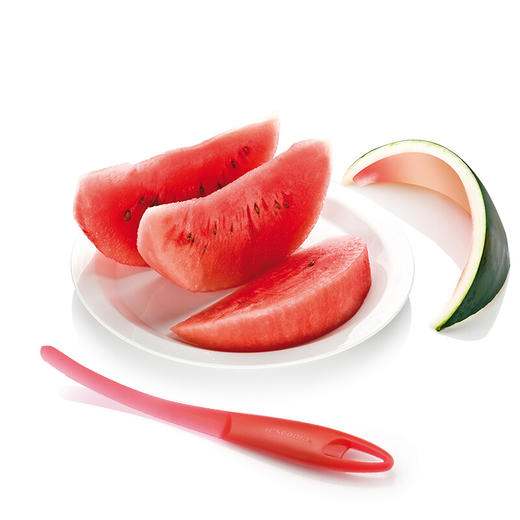 捷克进口/tescoma 果肉切刀家用不伤手西瓜取肉器软肉水果食品切块 商品图0