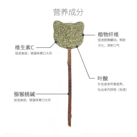 【宠物用品】-猫薄荷棒棒糖 逗猫棒玩具木天蓼棒棒糖 商品图4