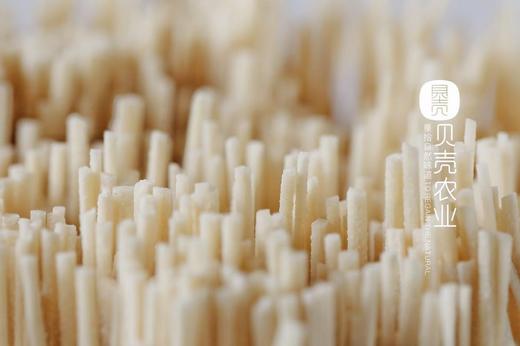 陕西 手工空心挂面 面有西岐（优质小麦，保证口感上乘） 商品图6