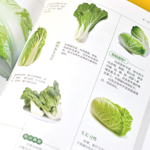常见果蔬轻图鉴 图鉴系列全新升级版 商品图1