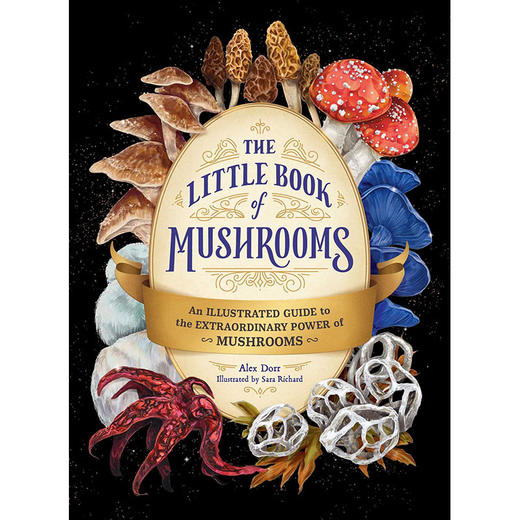 蘑菇小书 图解指南 英文原版 The Little Book of Mushrooms: An Illustrated Guide to the Extraordinary Power of Mush 商品图0