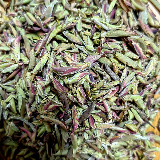 只采3天；只尝一口鲜【2023年大雪山千年野生古树紫芽苞】限量分享老茶友；邀君品鉴第一口鲜；数量有限，每个id限购3份 商品图1