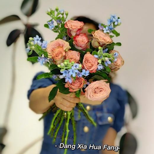 【落日与你】卡布奇诺玫瑰10支 蓝星花4-6支 （向向设计） 商品图3