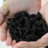生态桑葚干 | 绿家自产*Eco-dried mulberries | Self-production 商品缩略图0