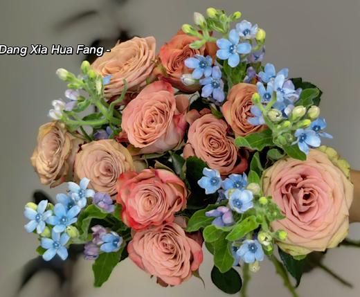 【落日与你】卡布奇诺玫瑰10支 蓝星花4-6支 （向向设计） 商品图2