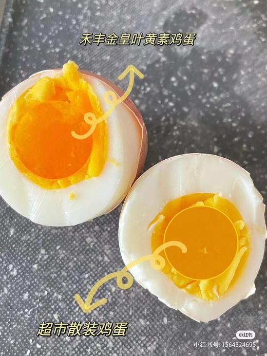 叶黄素鸡蛋礼盒（拼团） 商品图3