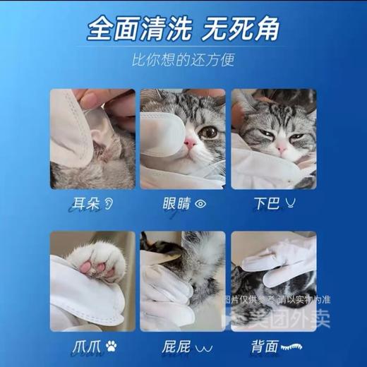 KOJIMA宠物免洗手套猫狗清洁干洗SPA手套湿巾6枚/包 商品图3