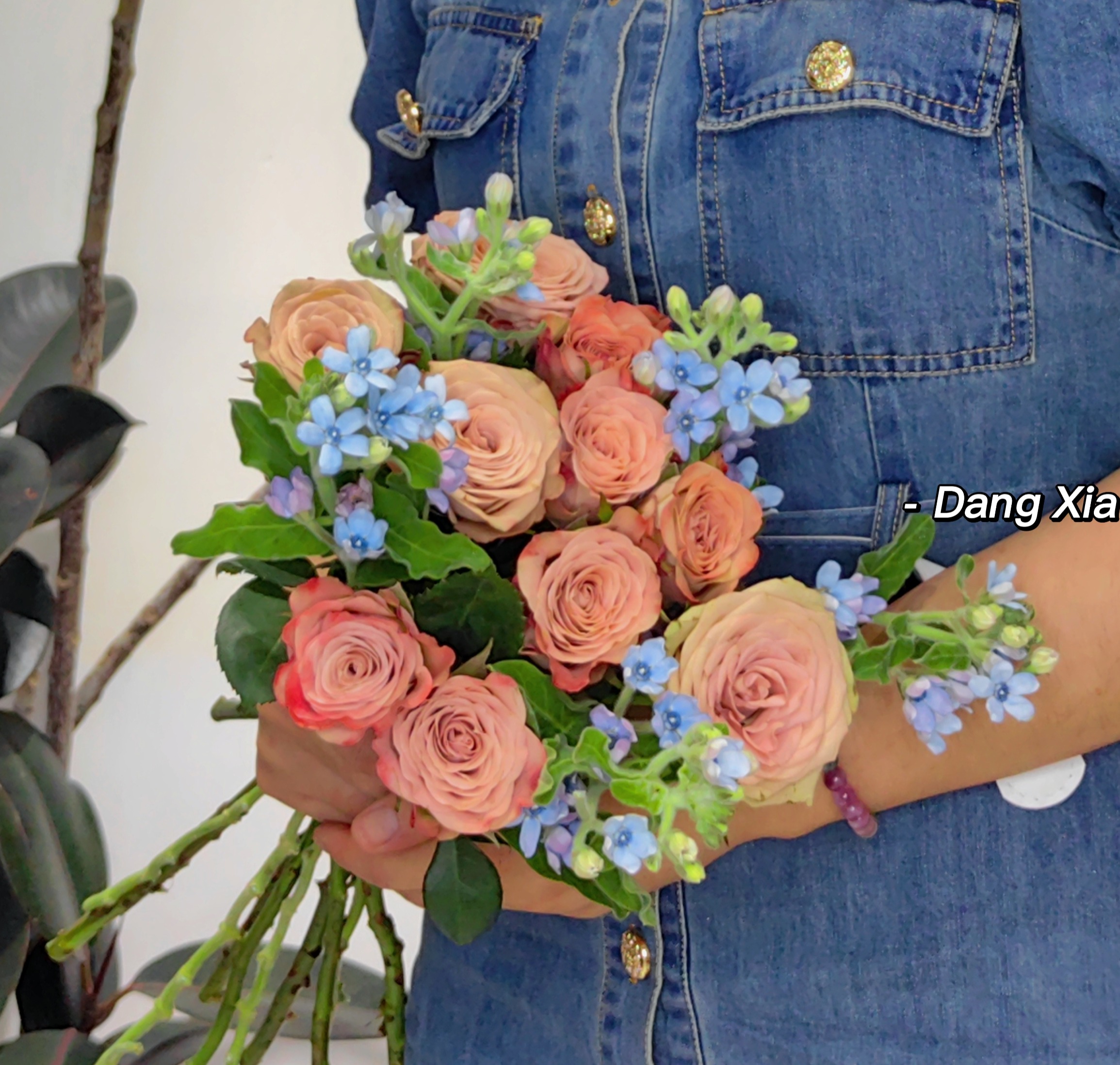 【落日与你】卡布奇诺玫瑰10支 蓝星花4-6支 （向向设计）