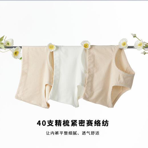 素道有机彩棉 女士中腰三角内裤 3条组合装无痕内裤 商品图3
