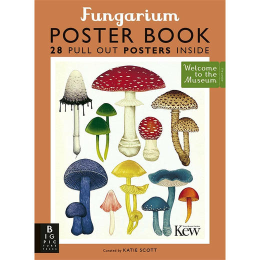 欢迎来到博物馆系列 菌物海报书 英文原版 Fungarium Poster Book 商品图0