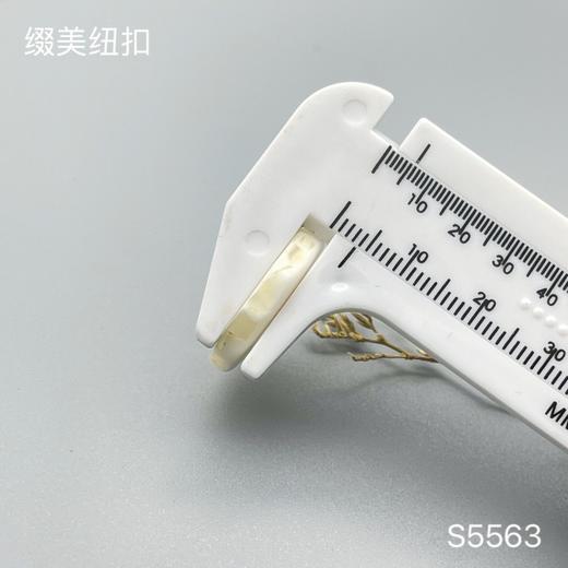 S5563(整包购买) 商品图4