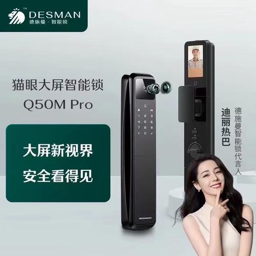 5F     德施曼智能锁 商品图0