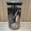 Kitchenspring 家用三入玻璃密封罐套装 商品缩略图2
