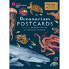 欢迎来到博物馆系列 海洋馆明信片 英文原版 Oceanarium Postcards 商品缩略图0