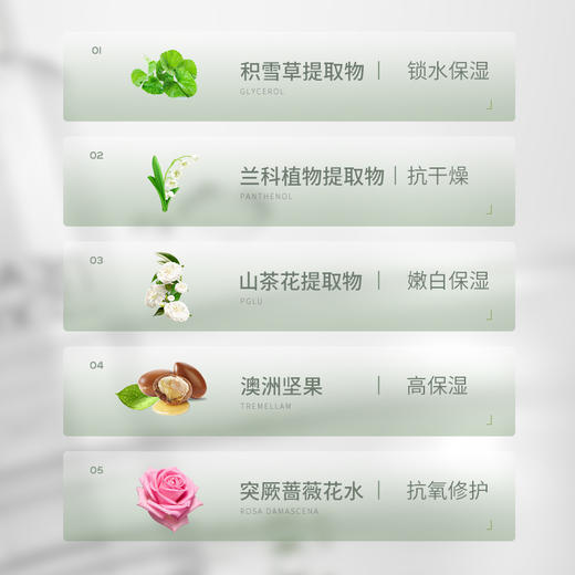 英国蒂尔菲娜肌光流金乳100ml 商品图4