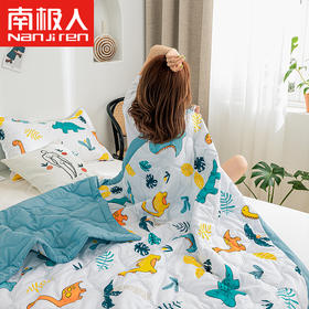 Z241 南极人可水洗棉空调被200*230cm 多色可选