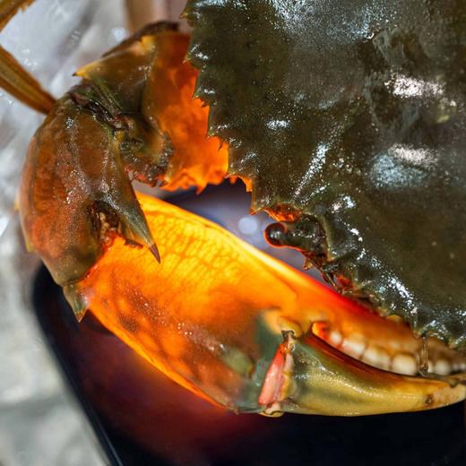 【头手 爆油率80-90%】挑时黄油蟹  2/4/6/ 只装 死蟹包赔 顺丰空运 商品图3