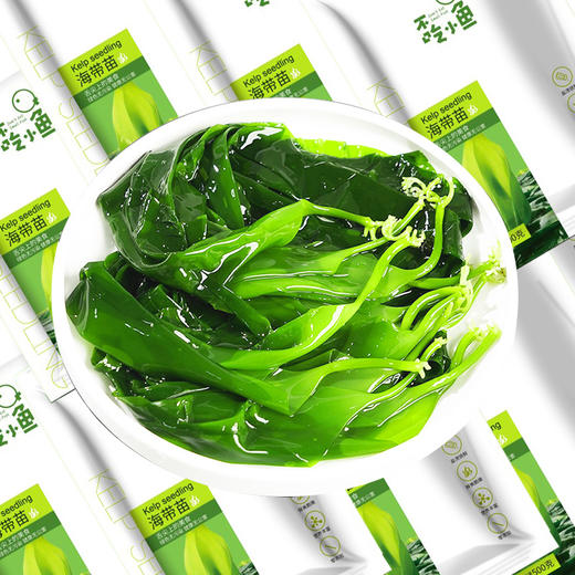 【GJ链接请勿用!!!】【补钙宝盒】压缩海带16g*10*2盒到手20袋 仅需119元 加送海带苗一斤 紫菜50g 商品图6