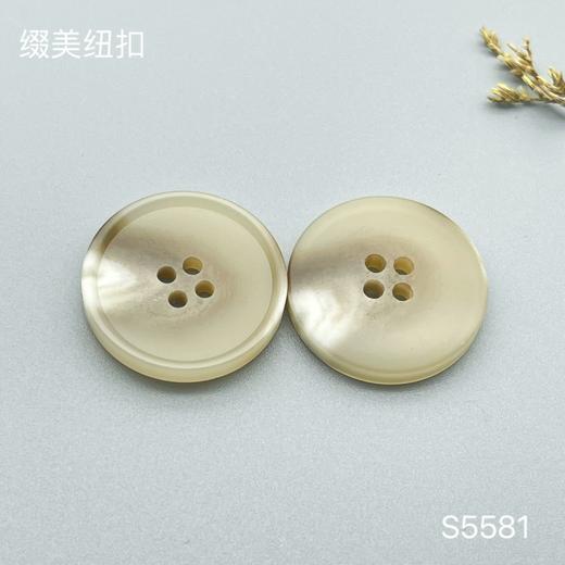 S5581(整包购买) 商品图1