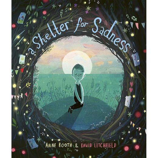 悲伤的庇护所 儿童绘本故事书 DAVID LITCHFIELD 英文原版 A Shelter for Sadness 商品图0