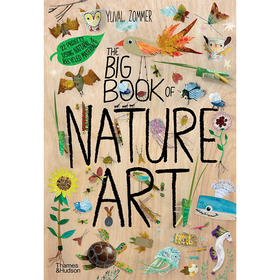 自然艺术大书 儿童科普绘本故事书 Yuval Zommer 英文原版 The Big Book of Nature Art