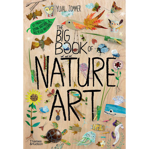 自然艺术大书 儿童科普绘本故事书 Yuval Zommer 英文原版 The Big Book of Nature Art 商品图0