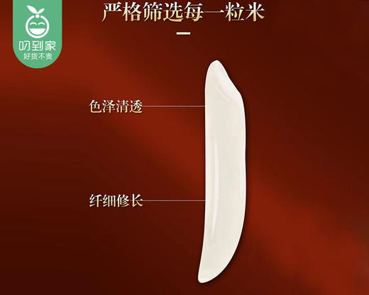 信孚1999芽签香米（5kg/袋）生产日期：2月 商品图1