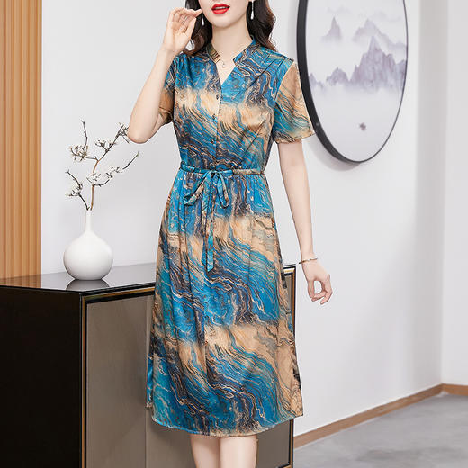 TC 221215桑蚕丝连衣裙气质印花收腰显瘦真丝裙 商品图0