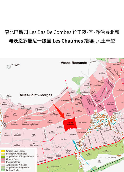 月老庄酒庄夜圣乔治康比巴斯园红葡萄酒 2020 Hudelot Noellat Nuits St Georges Les Bas De Combes 商品图1