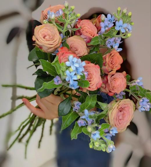 【落日与你】卡布奇诺玫瑰10支 蓝星花4-6支 （向向设计） 商品图4