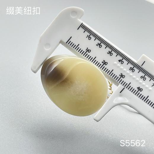 S5562(整包购买) 商品图3