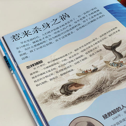 《DK动物百科系列：鱼和其他海洋生物》 商品图6