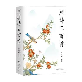 唐诗三百首 陈引驰 著 文学