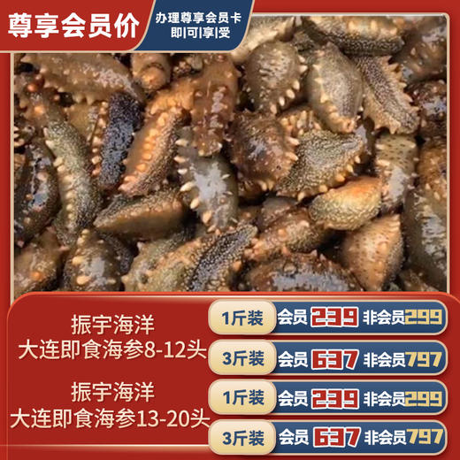 振宇海洋大连即食海参 商品图0