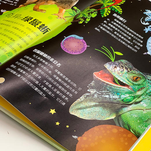 《DK动物百科系列：爬行动物》 商品图5
