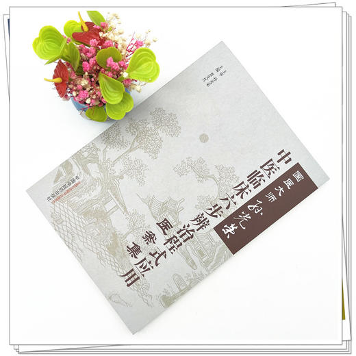 国医大师孙光荣中医临床六步辨治程式应用医案集 贾先红 主编 中国中医药出版社 中医临床 书籍 商品图2