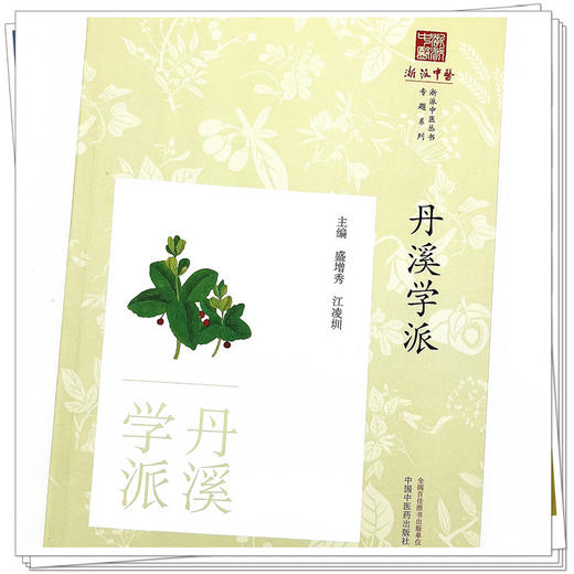丹溪学派 浙派中医丛书 刘时觉 著 中国中医药出版社 中医临床 书籍 商品图4