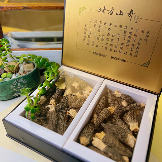 【东北特产 野生羊肚蘑】人工采摘自然风干营养丰富 商品图1