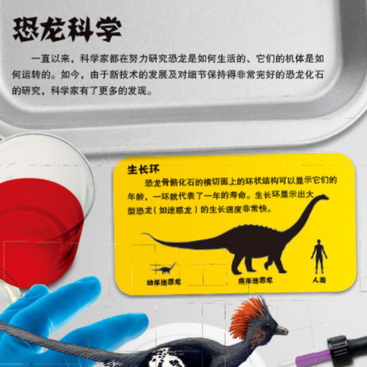 《DK动物百科系列：恐龙》 商品图3