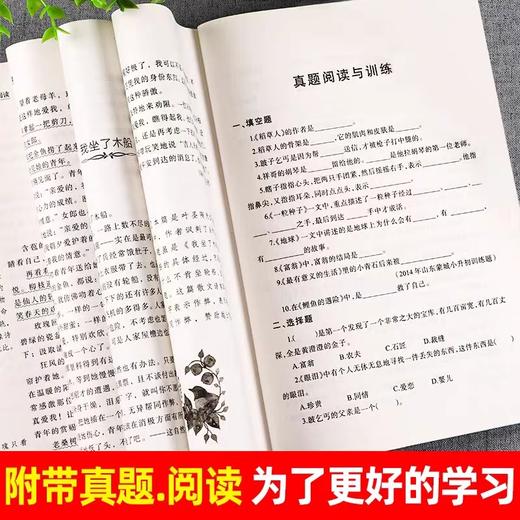 快乐读书吧三年级上册课外书全套3册 JST人教版小学经典书目稻草人叶圣陶正版格林童话全集安徒生童话小学生课外阅读书籍名著读物 商品图3