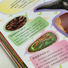 《DK动物百科系列：恐龙》 商品缩略图6