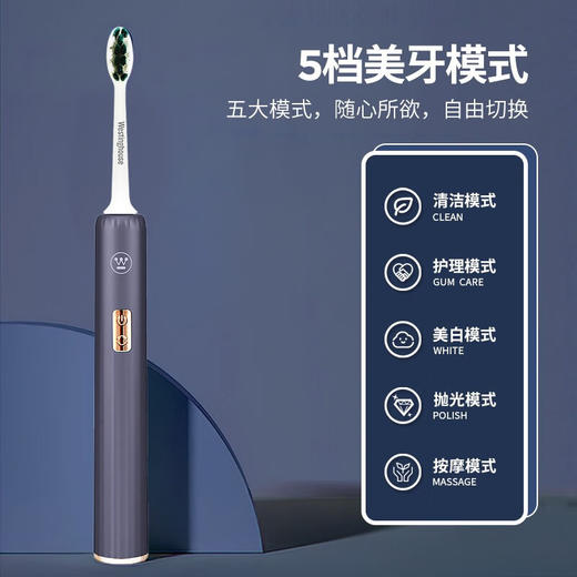 西屋（Westinghouse）个护套装 W6 灰色 商品图3