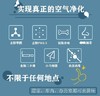 【中欧班列精选2盒】美国空气净化清新剂 原装进口 Bad Air Sponge室内装修去味汽车除甲醛400g/盒 商品缩略图4