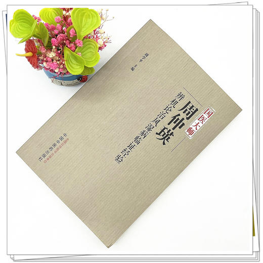 国医大师周仲瑛辨机论治风湿病临证经验 周学平 主编 中国中医药出版社 中医临床 书籍 商品图2