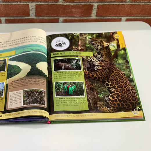 《DK动物百科系列》(全7册) 商品图11